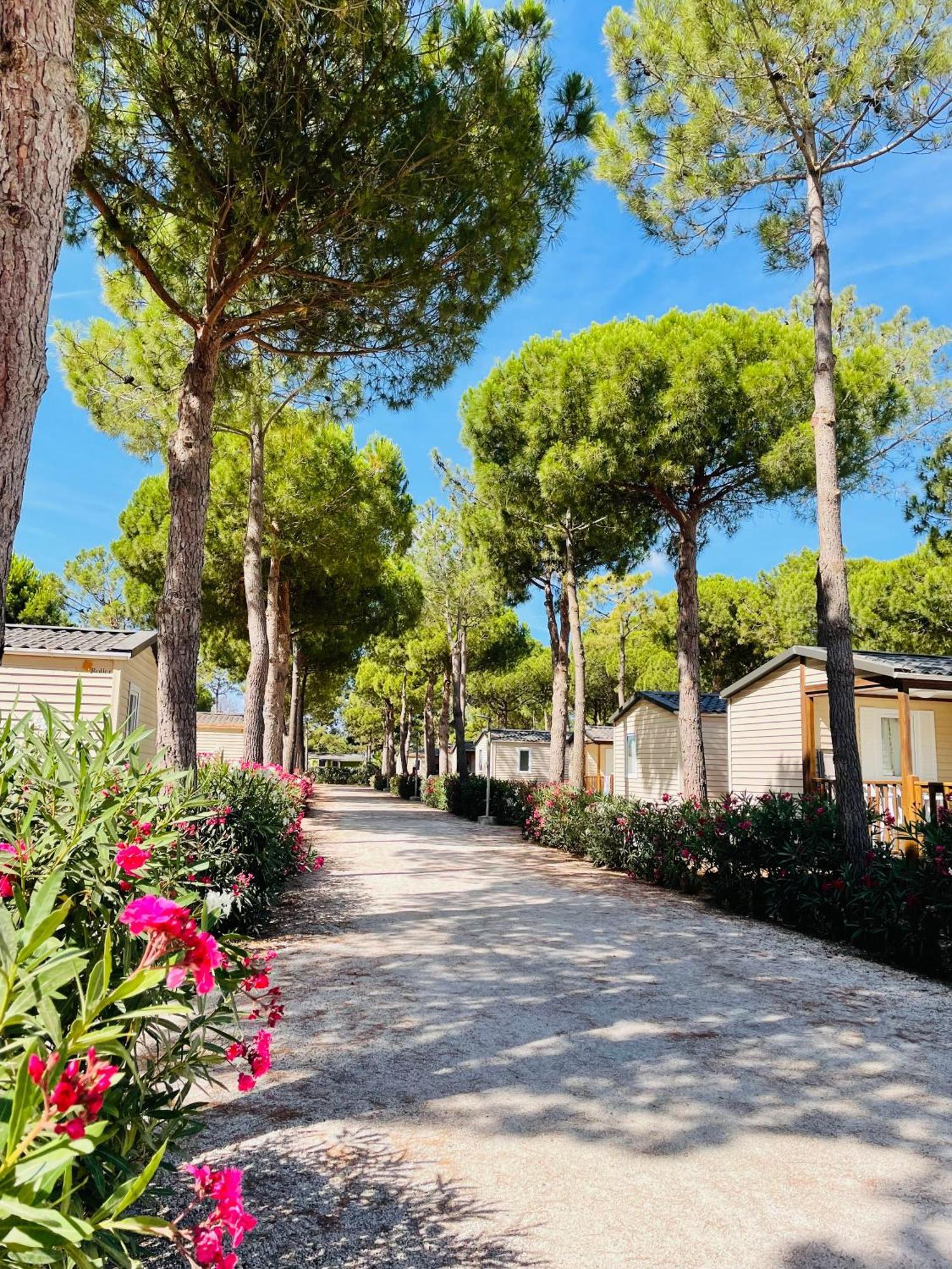 Camping Le Calypso 5 Etoiles ตูเรย์ลส์ ภายนอก รูปภาพ